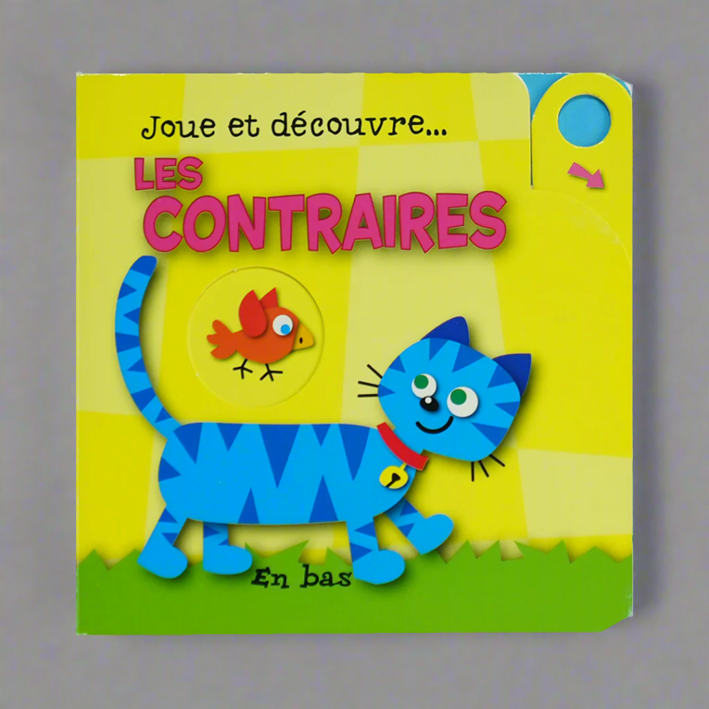 Joue et Decouvre - Les Contraires