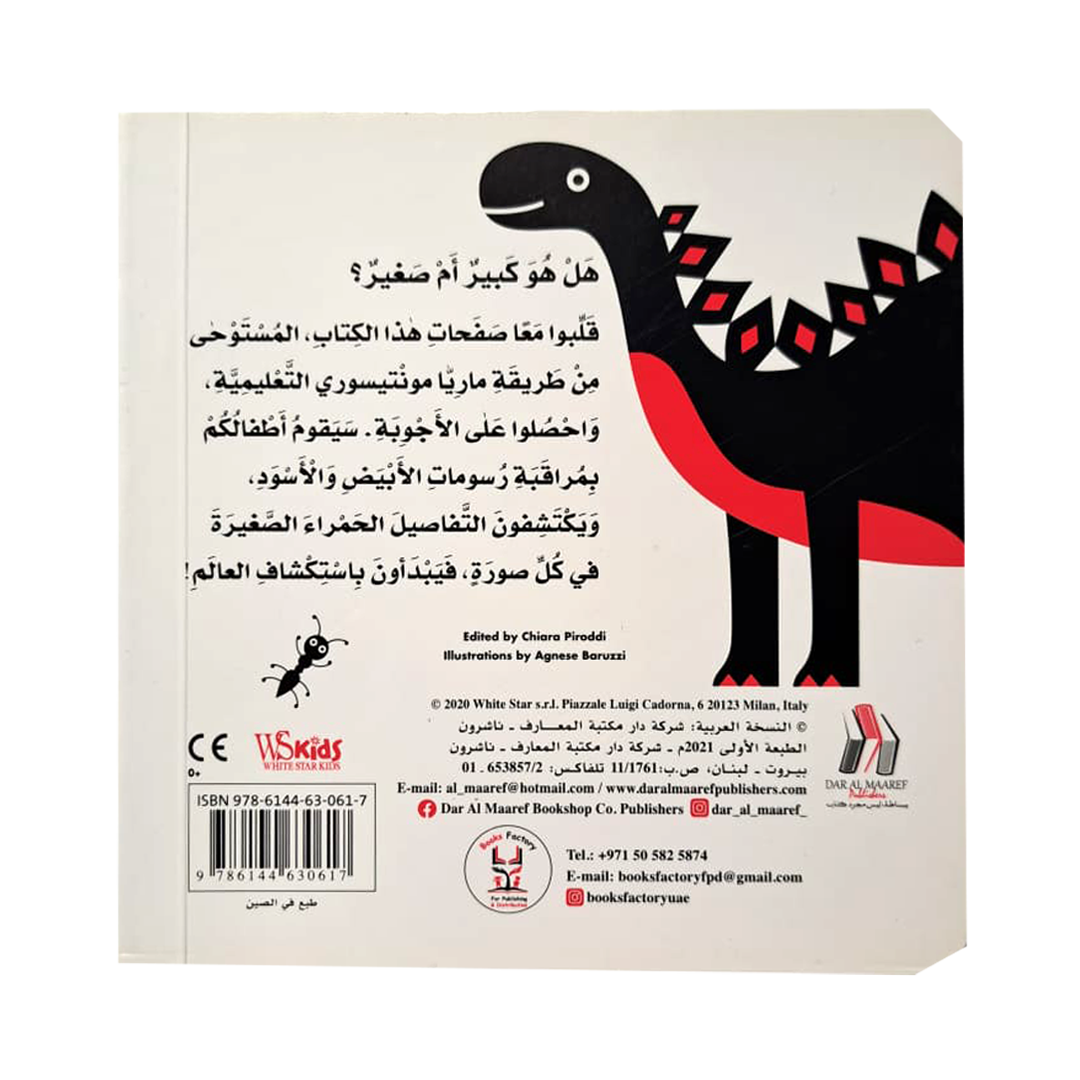 كبير أم صغير - طفل مونتيسوري