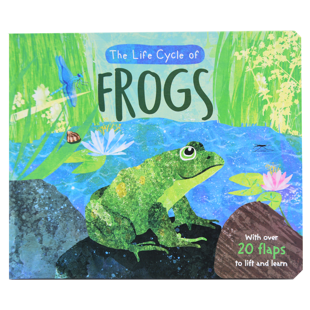 The Life Cycle Of FROGS