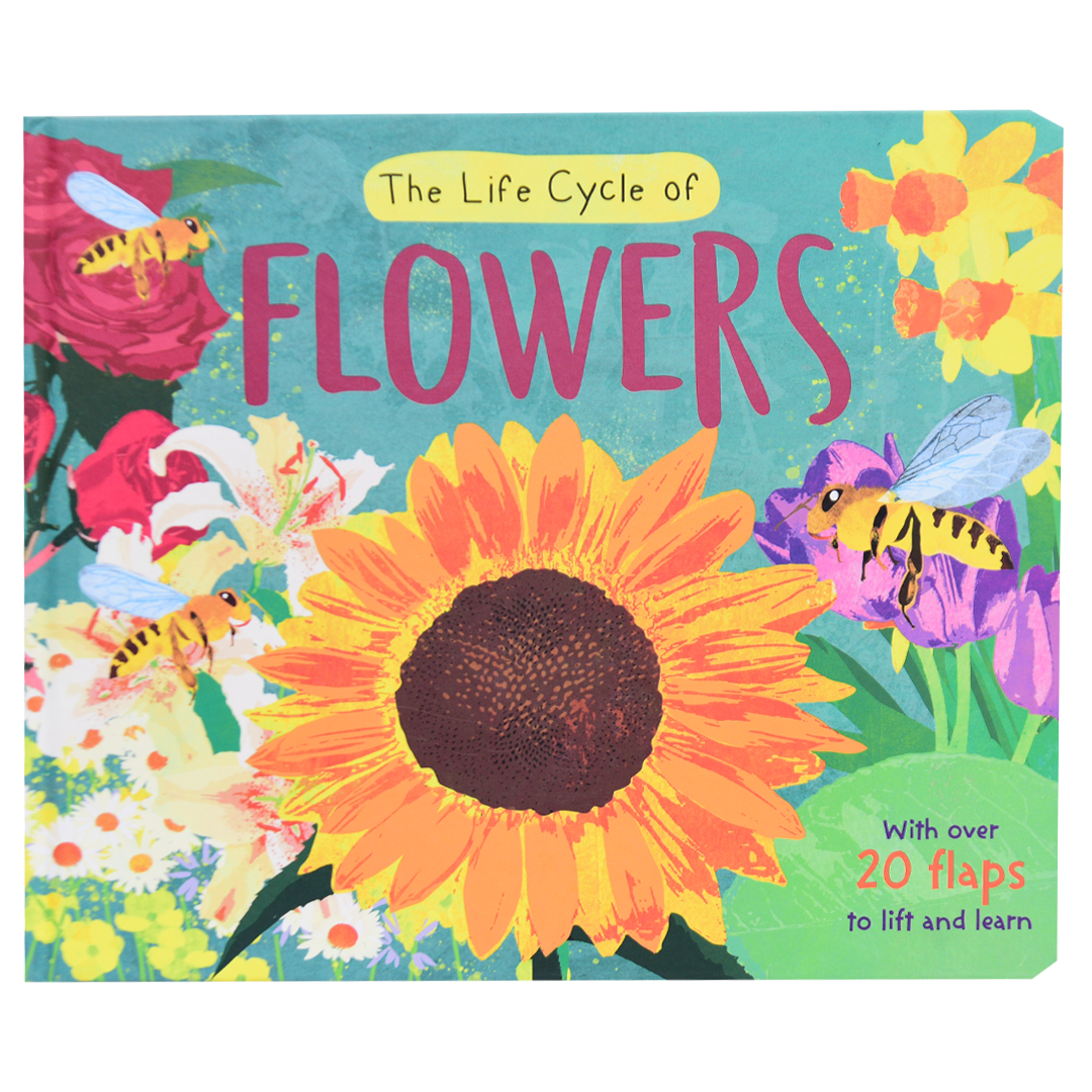 The Life Cycle Of FLOWERS