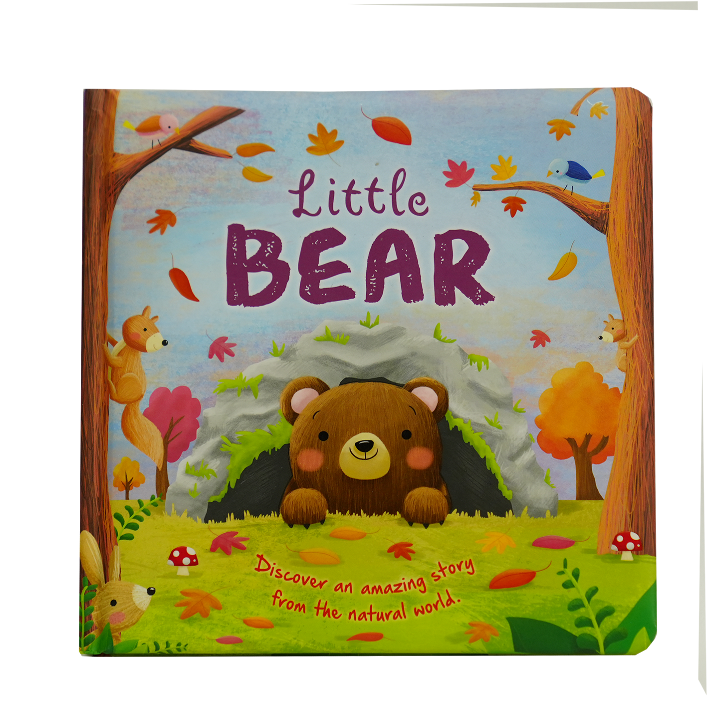 Mini Gift Book - Little Bear