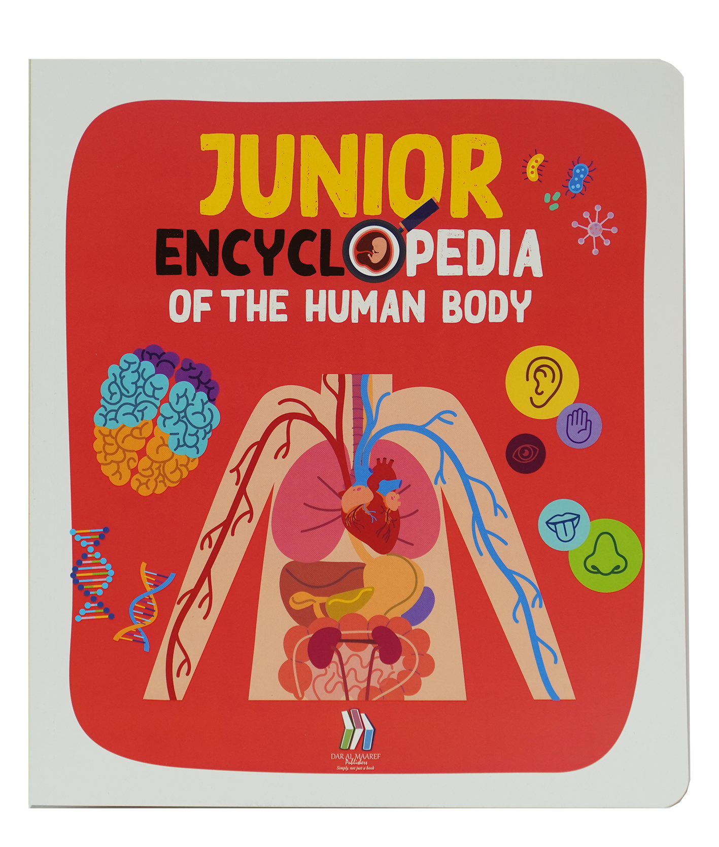 Junior Encyclopedia Of The Human Body