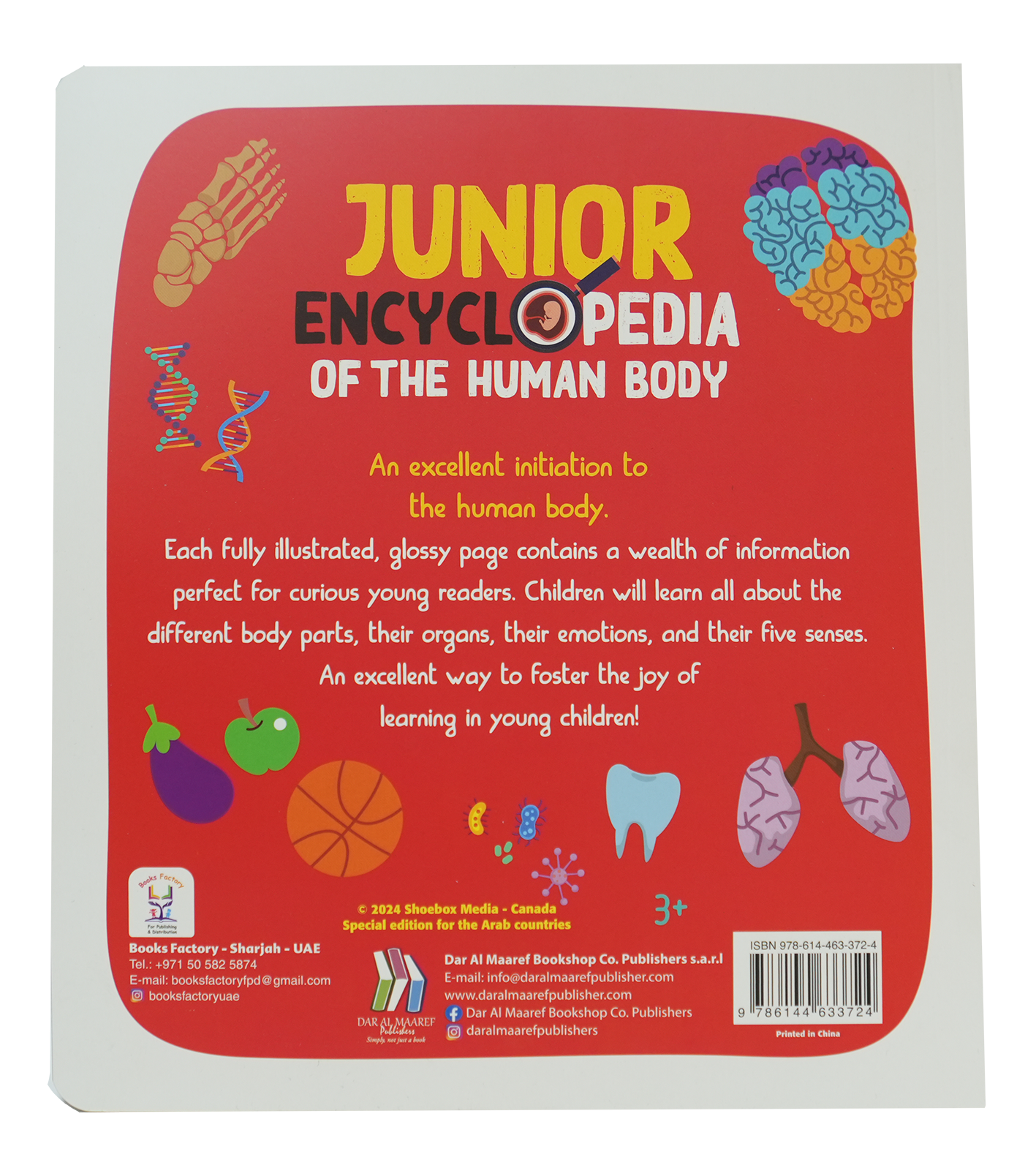 Junior Encyclopedia Of The Human Body
