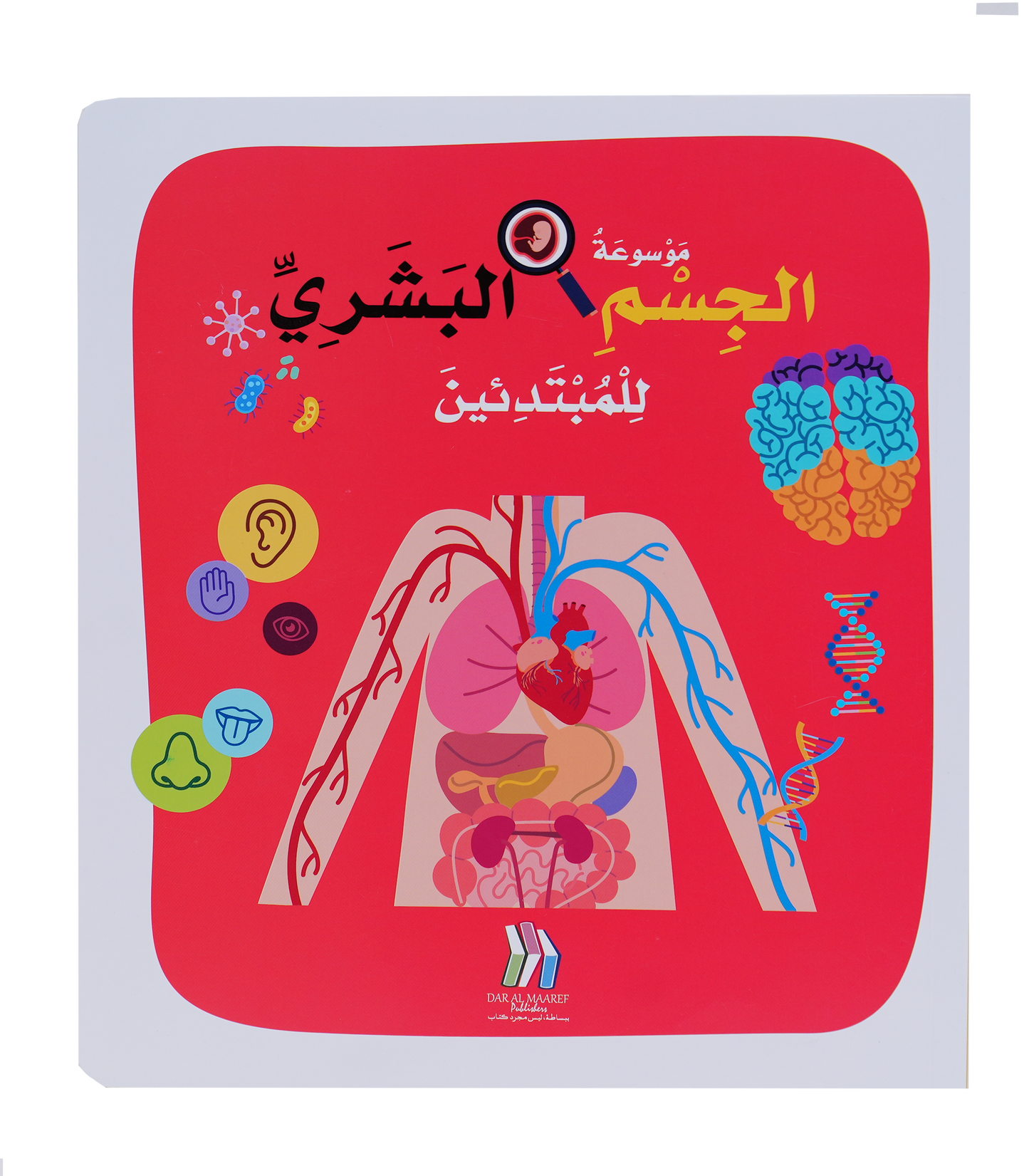 موسوعة الجسم البشري للمبتدئين - Soft Cover