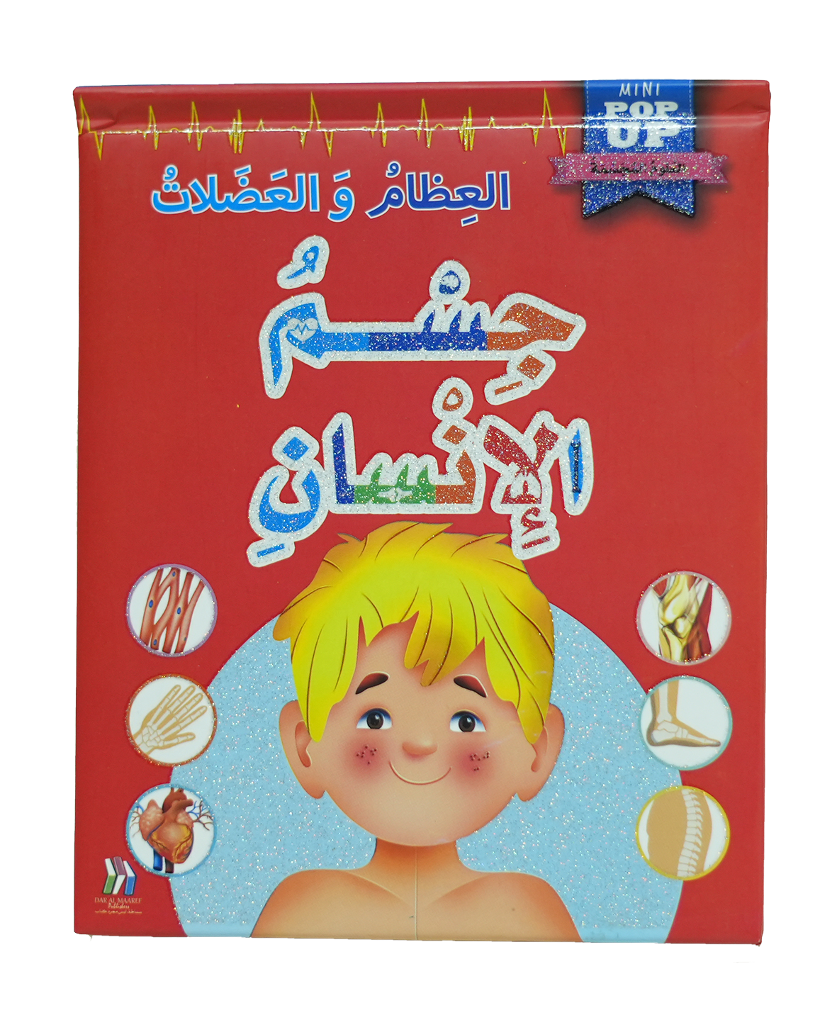 جسم الأنسان العلوم المجسمة - العظام والعضلات