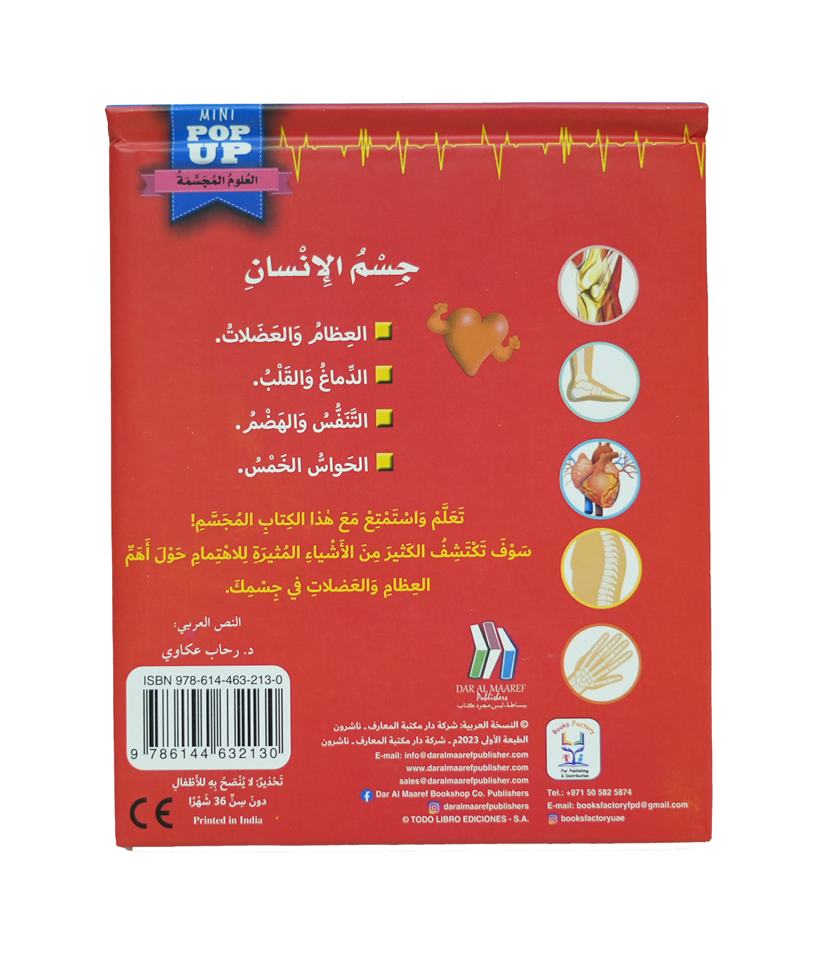 جسم الأنسان العلوم المجسمة - العظام والعضلات