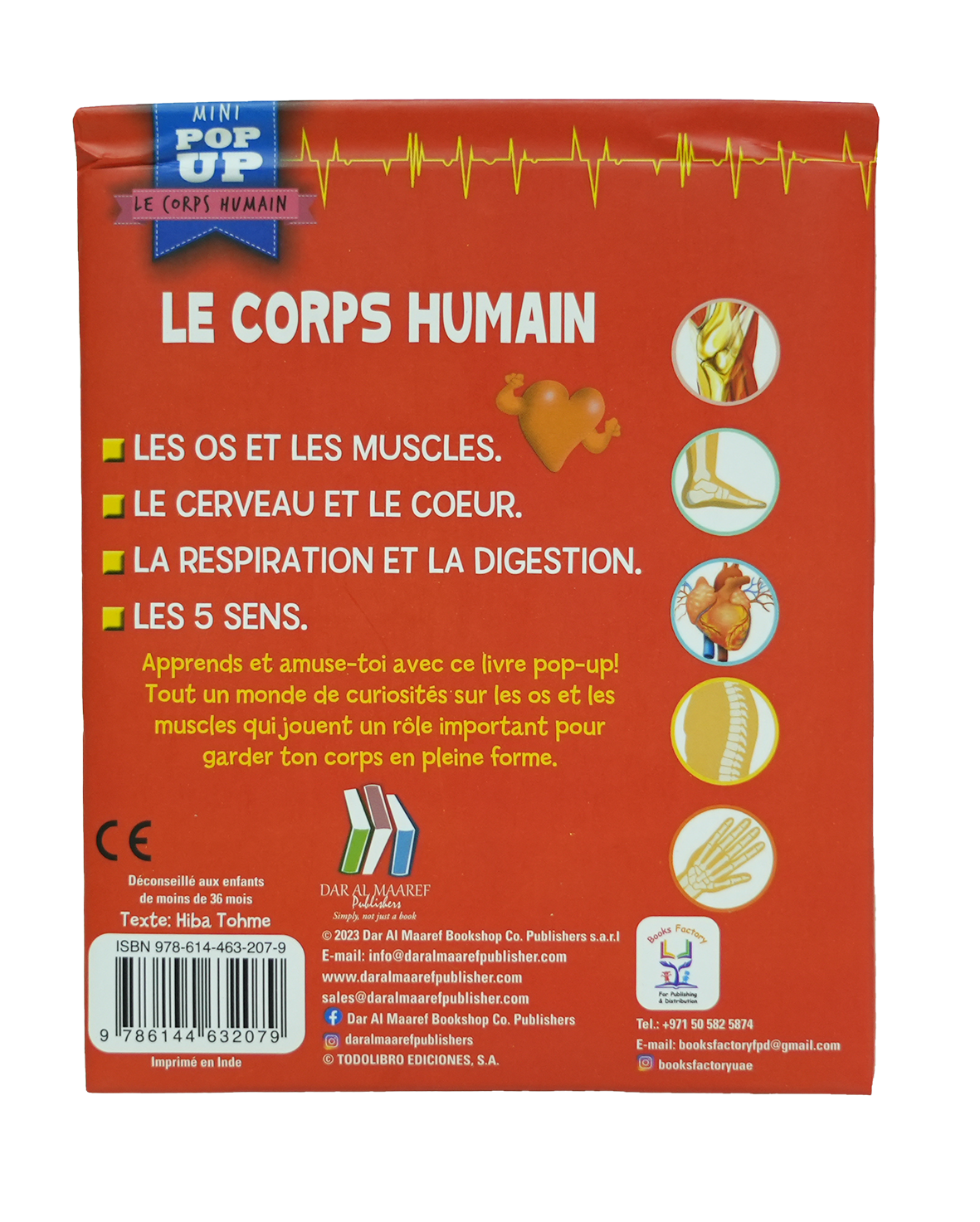 Pop Up - Le Corps Humain - Les Os Et Les Muscles