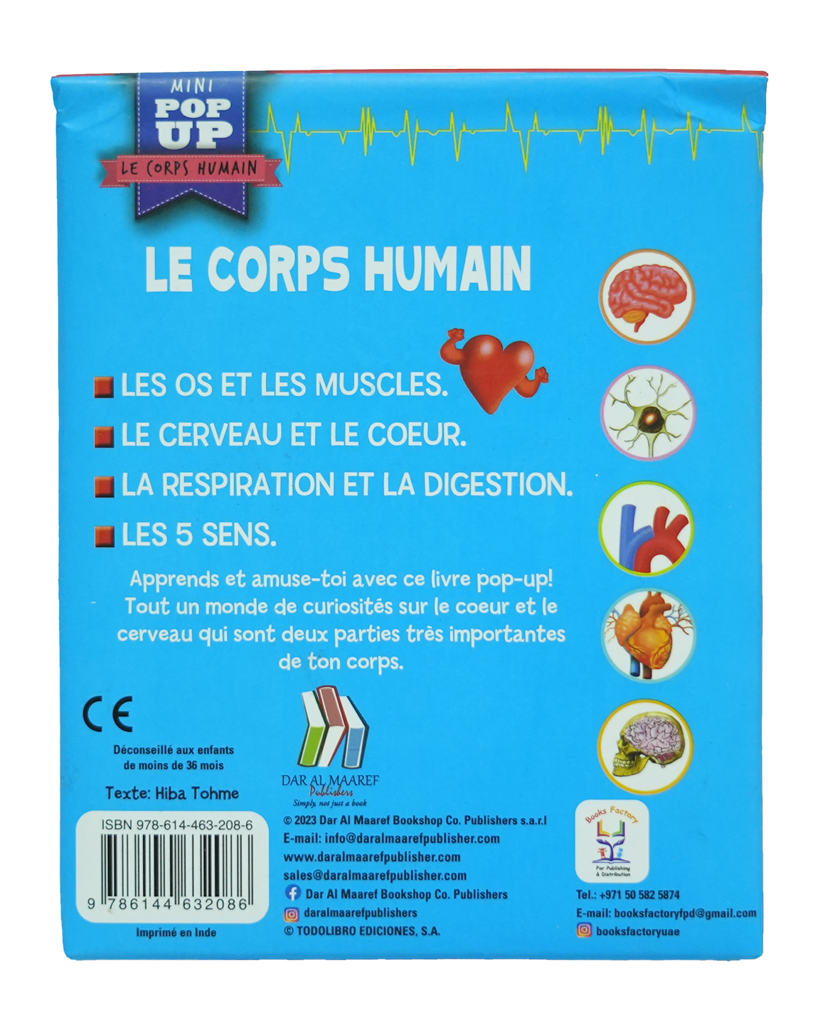 Pop Up - Le Corps Humain - Le Cerveau Et Le Coeur