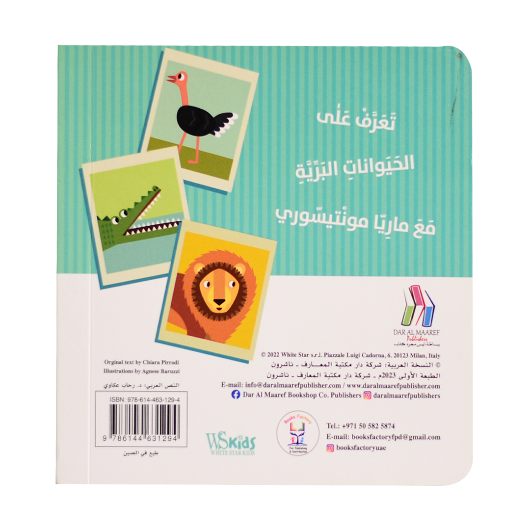 كتابي الاول في التعرف على الحيوانات البرية - مونتيسوري