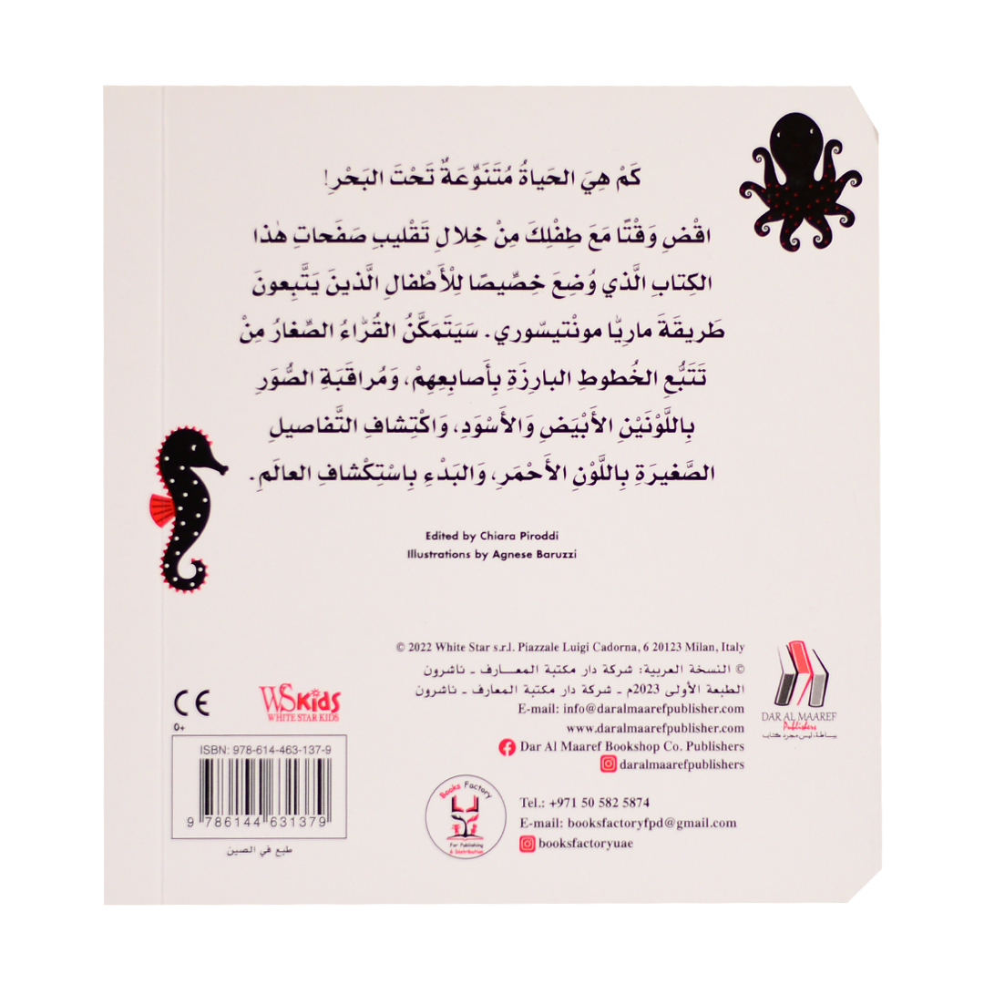 الحَيواناتُ البَحْرِيَّةُ