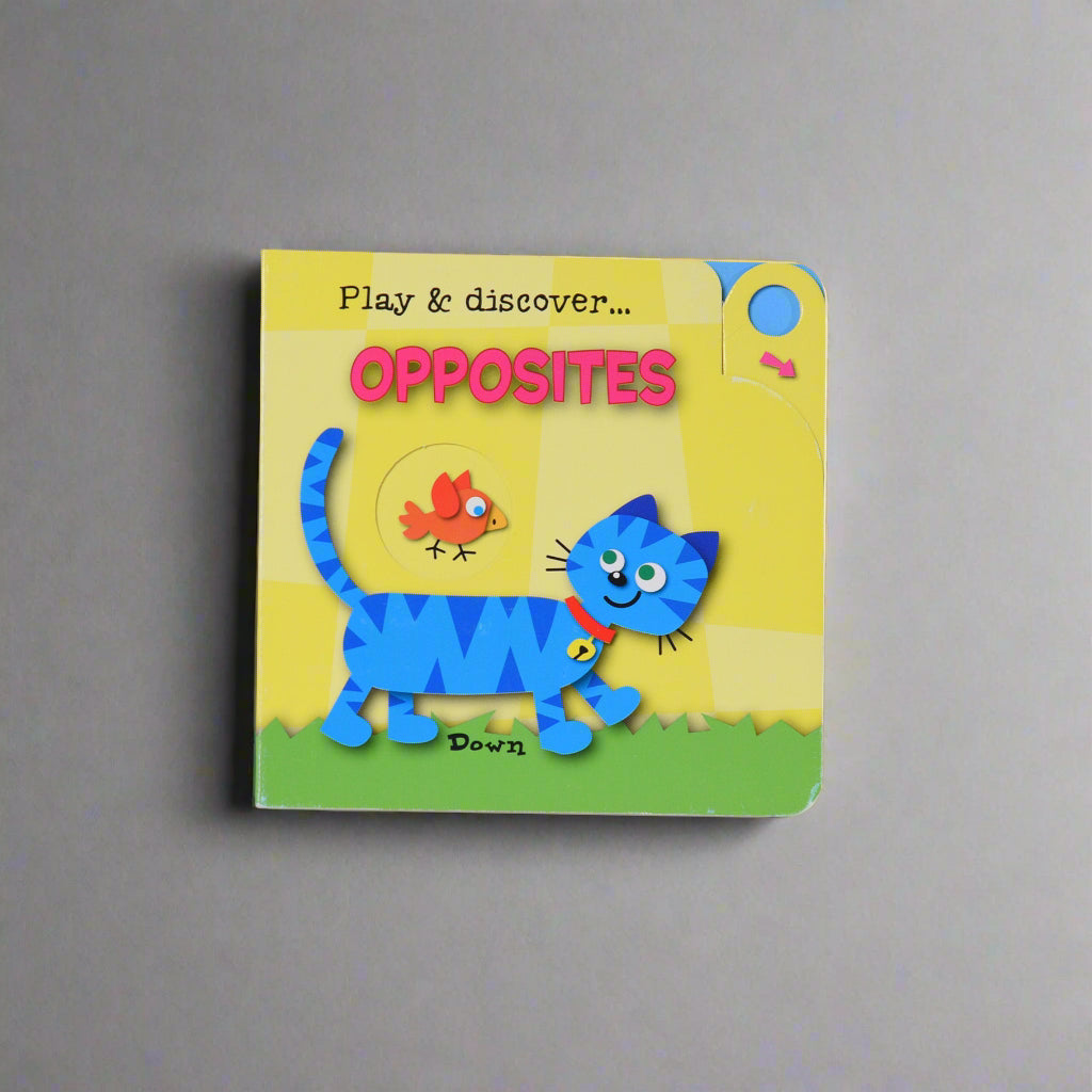 Play & Discover - Opposites