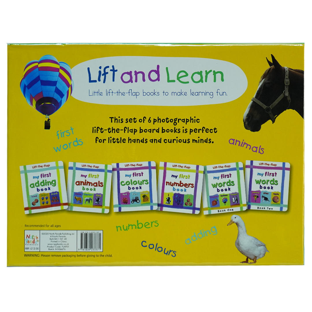 Mini LTF Books / Tray - Lift & Learn