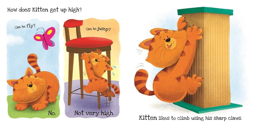 What Does... Like - What Does Kitten Like?