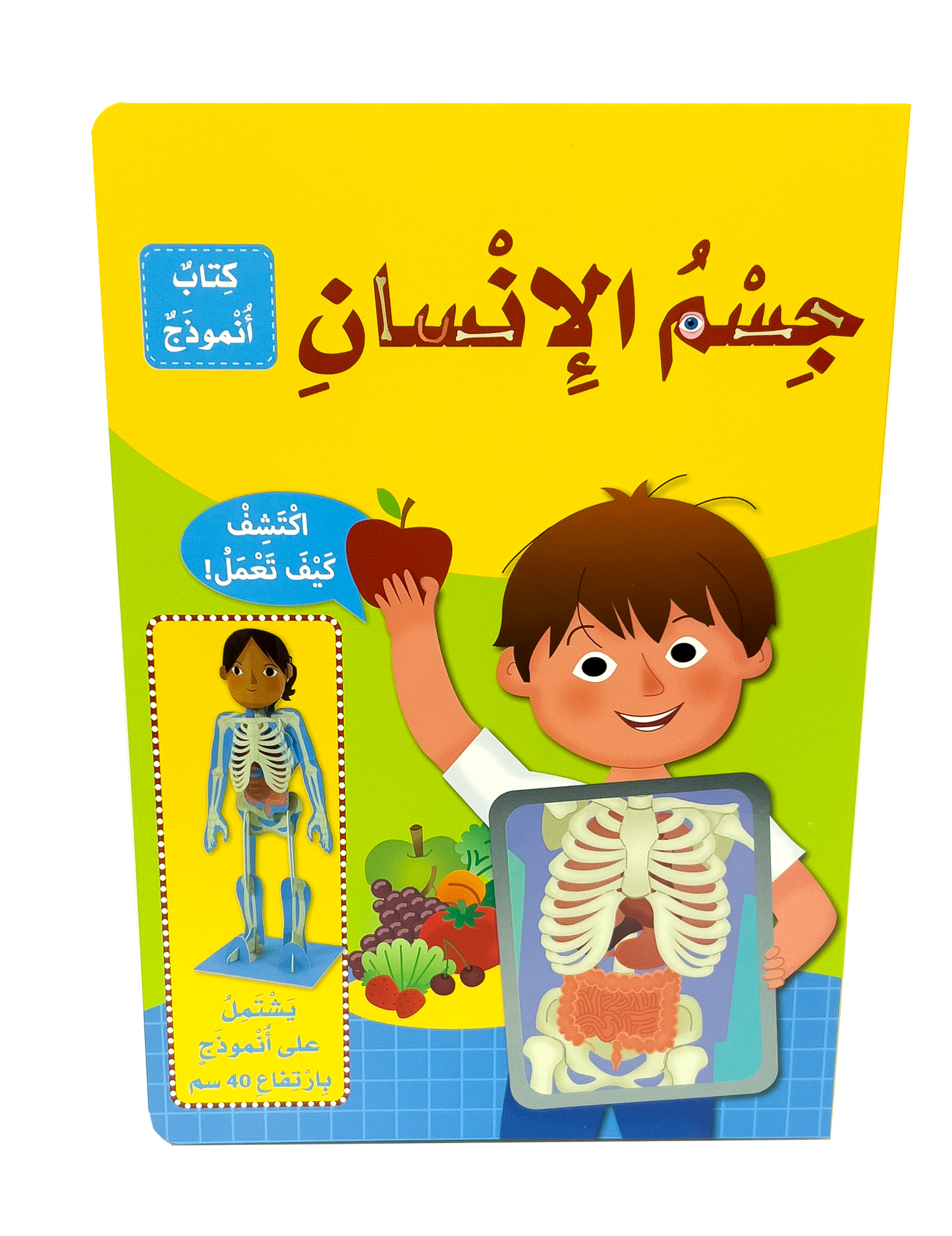 كتاب أنموذج-جسم الإنسان