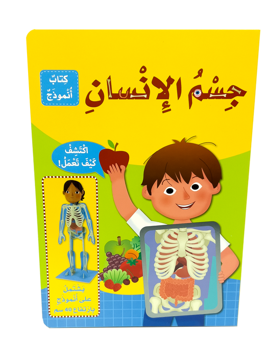 كتاب أنموذج-جسم الإنسان