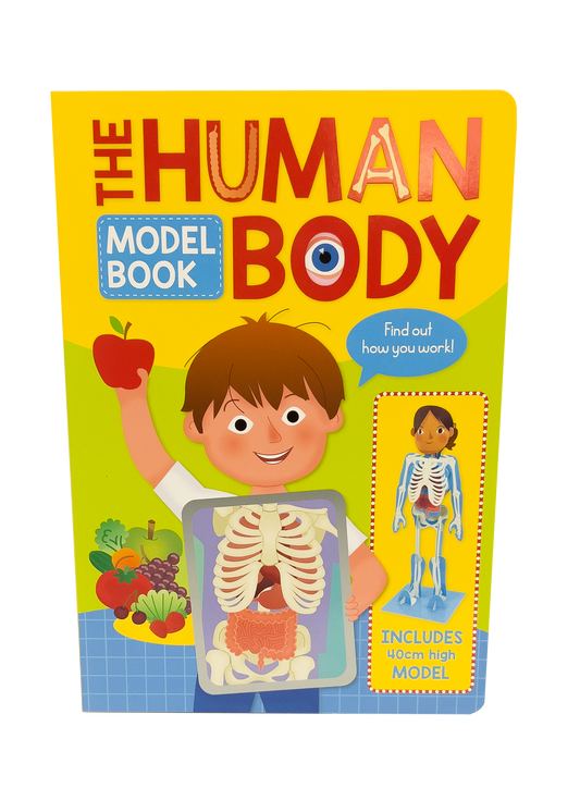 The Human Body - Model Book