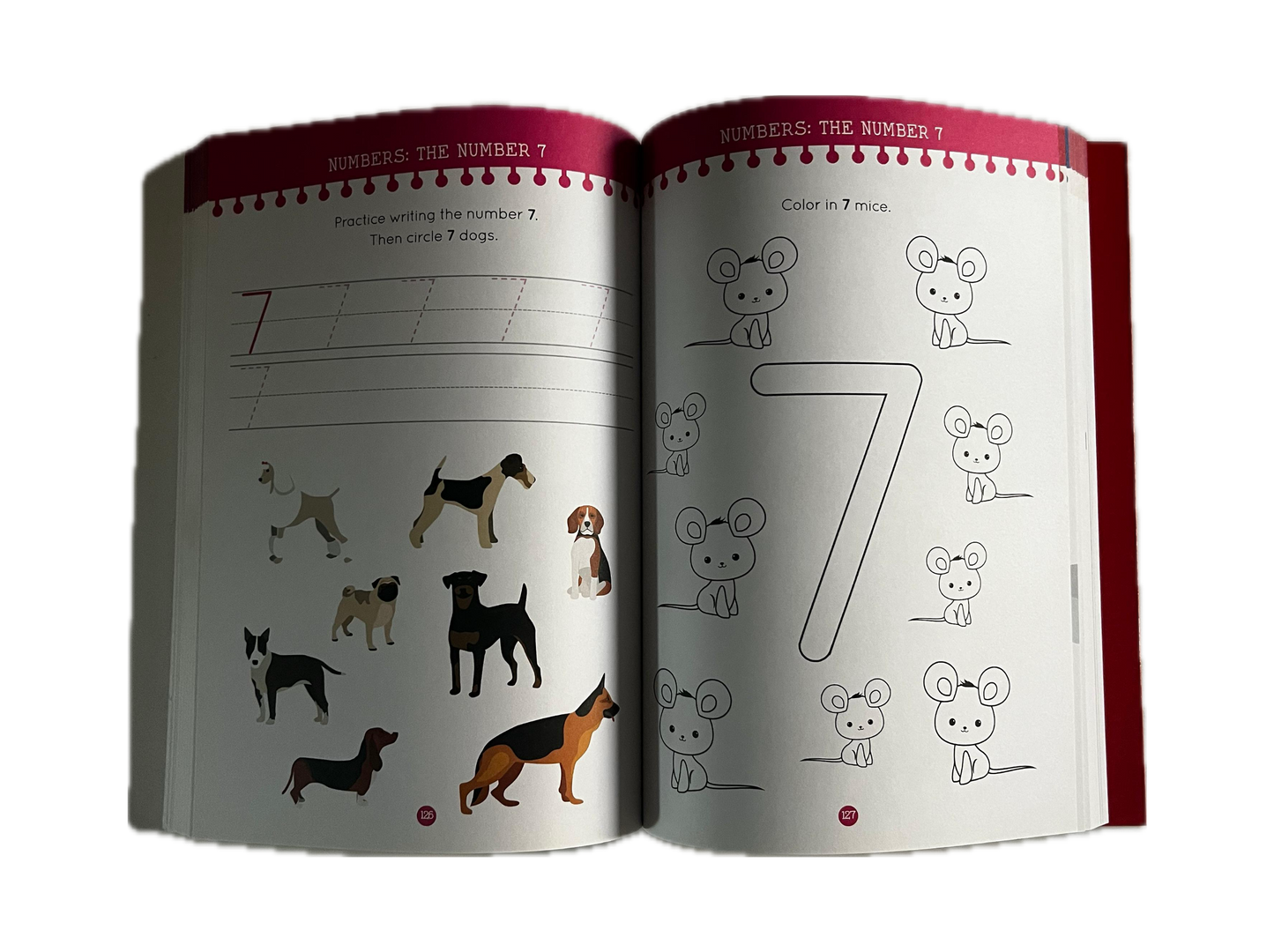 My Big Kindergarden Workbook