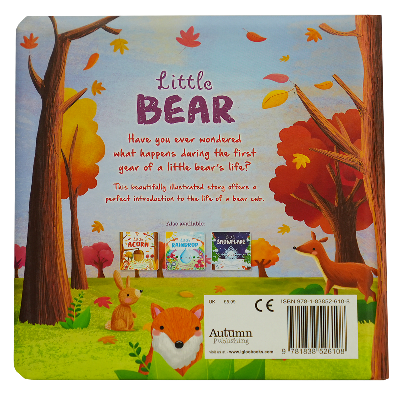 Mini Gift Book - Little Bear