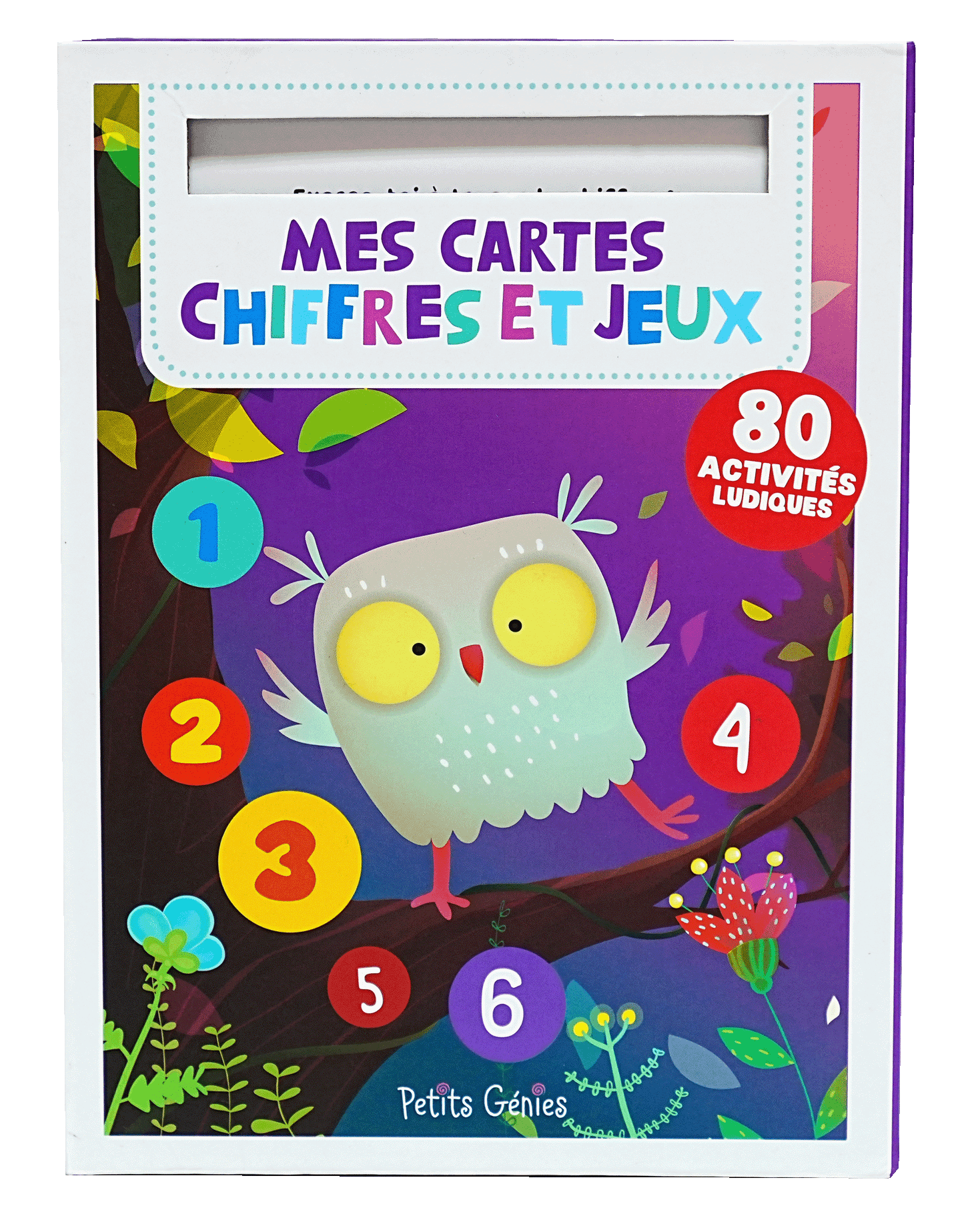 80 Activites Ludiques Mes Cartes Chiffres Et Jeux