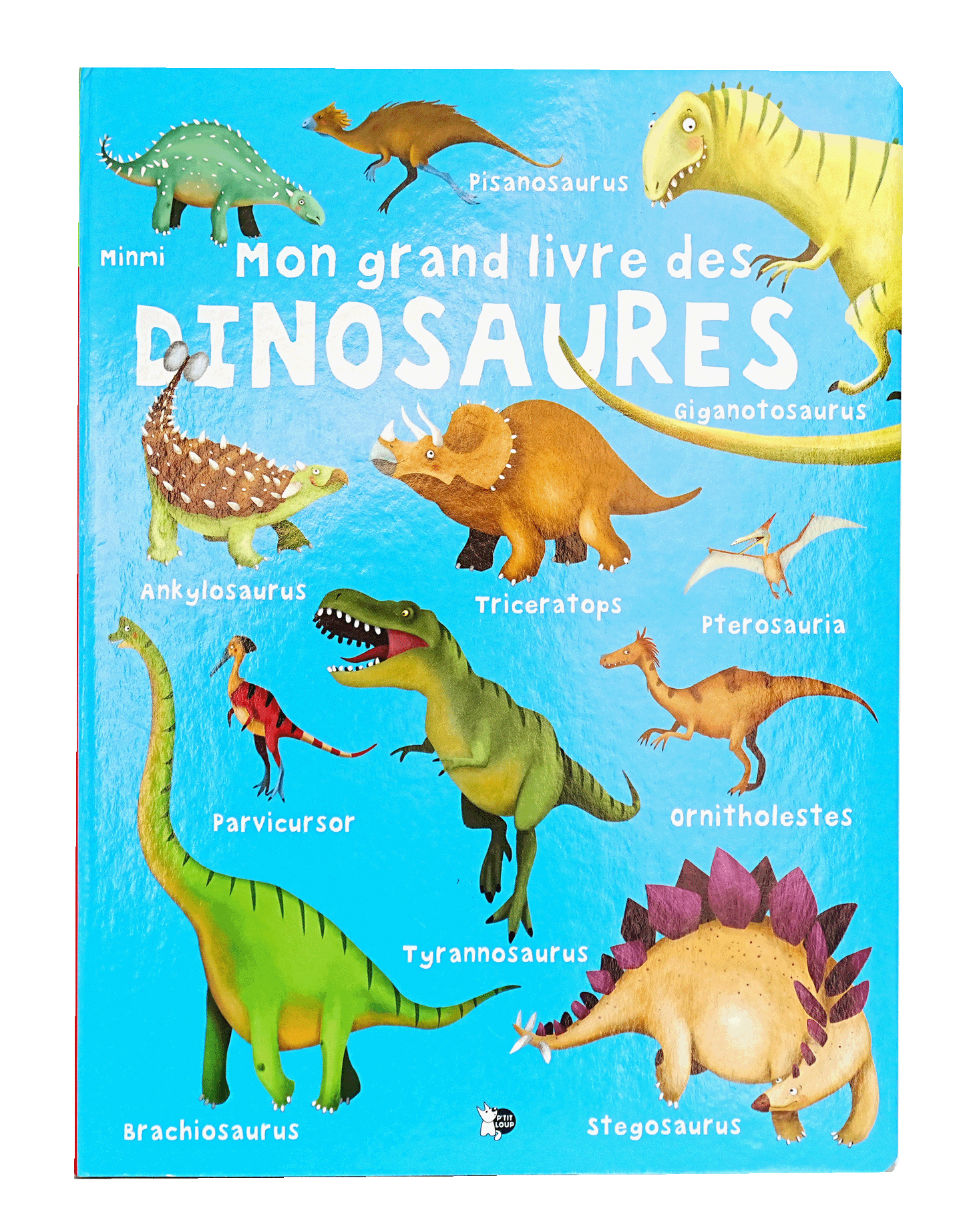 Mon Grand Livre Des Dinosaures