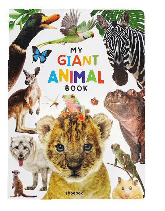 My Giant Animal Book