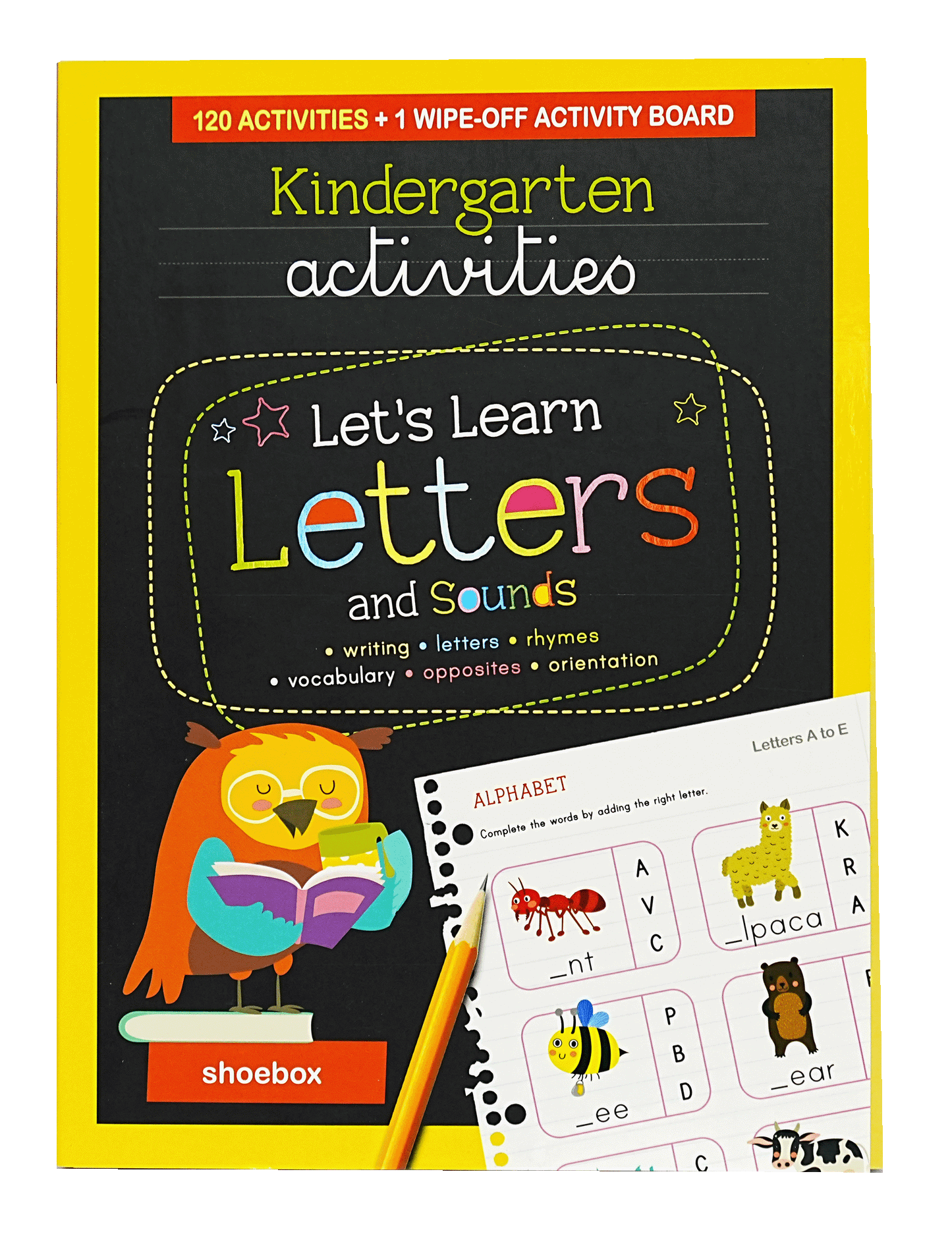 Let's Learn Letters and Sounds (Kindergarten Activites)