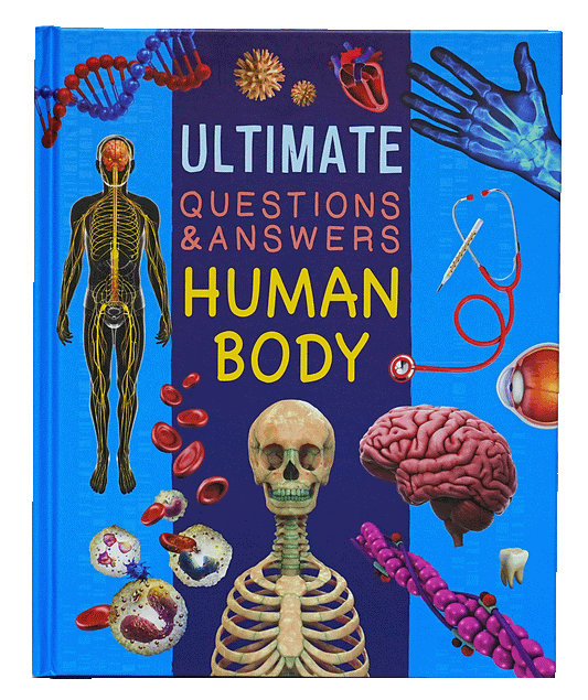 Human Body - Ultimate Questions And Answers