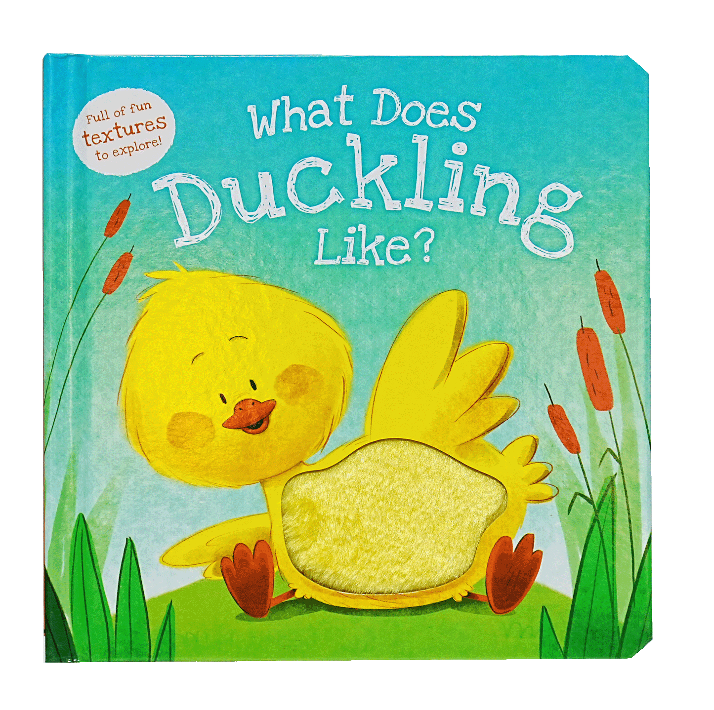 What Does Duckling Like?