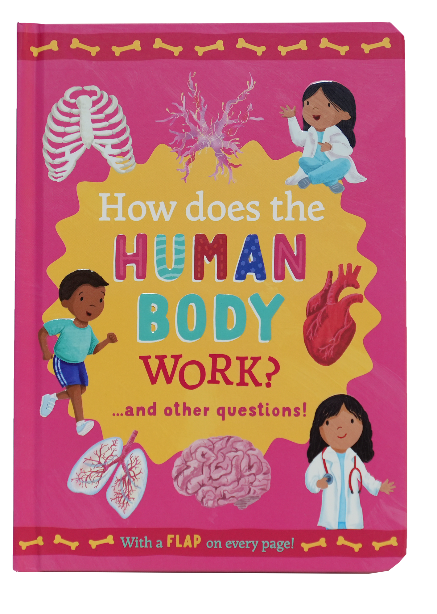 Mini Questions And Answer Lift The Flap Books-Human Body