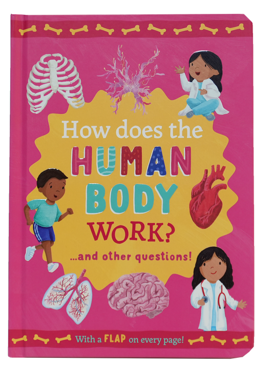 Mini Questions And Answer Lift The Flap Books-Human Body