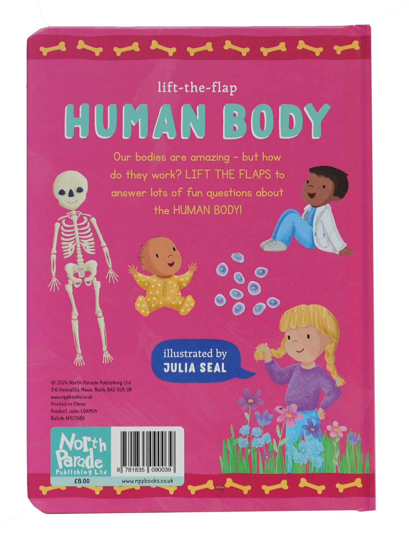 Mini Questions And Answer Lift The Flap Books-Human Body