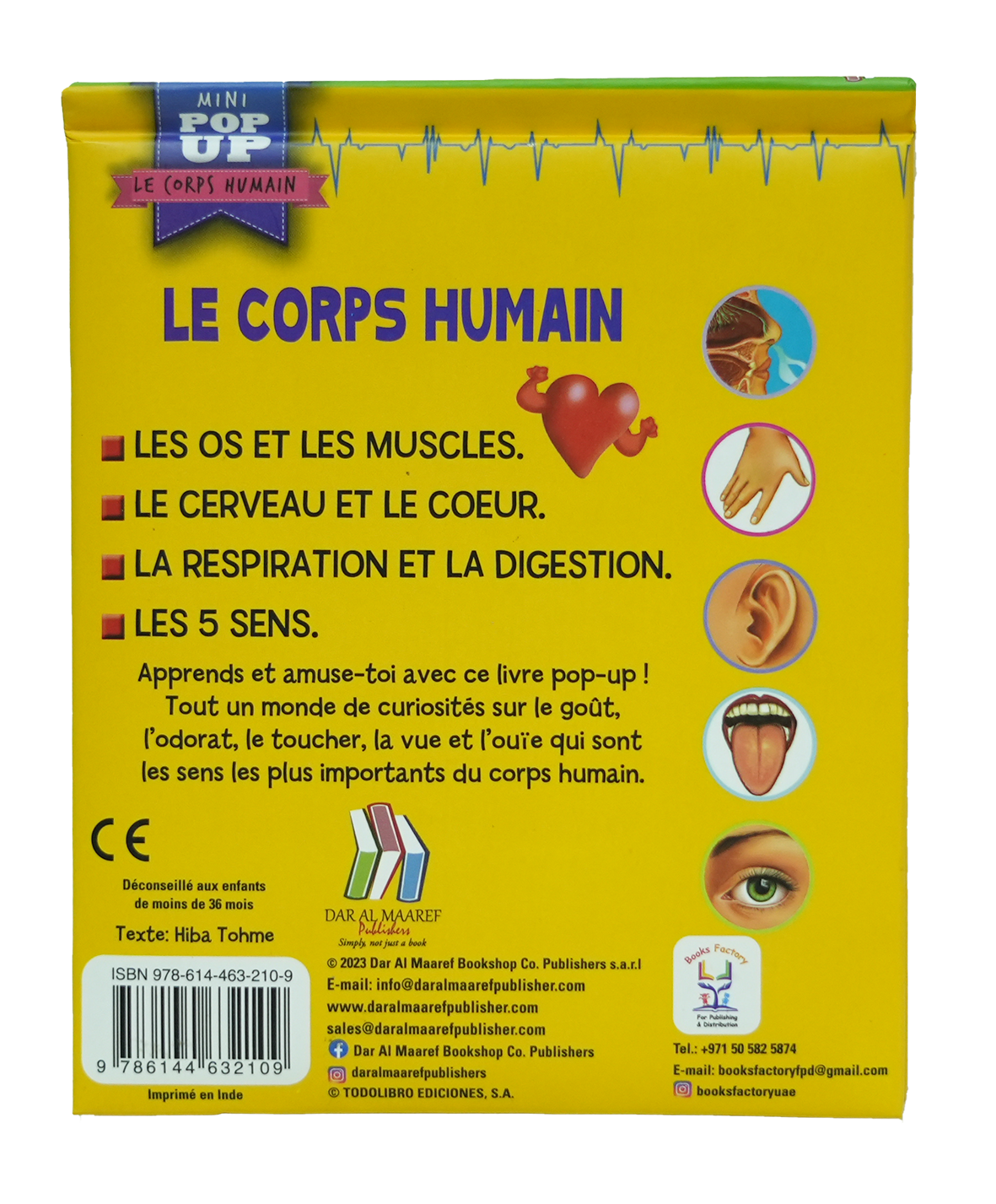 Pop Up - Le Corps Humain - LES 5 SENS