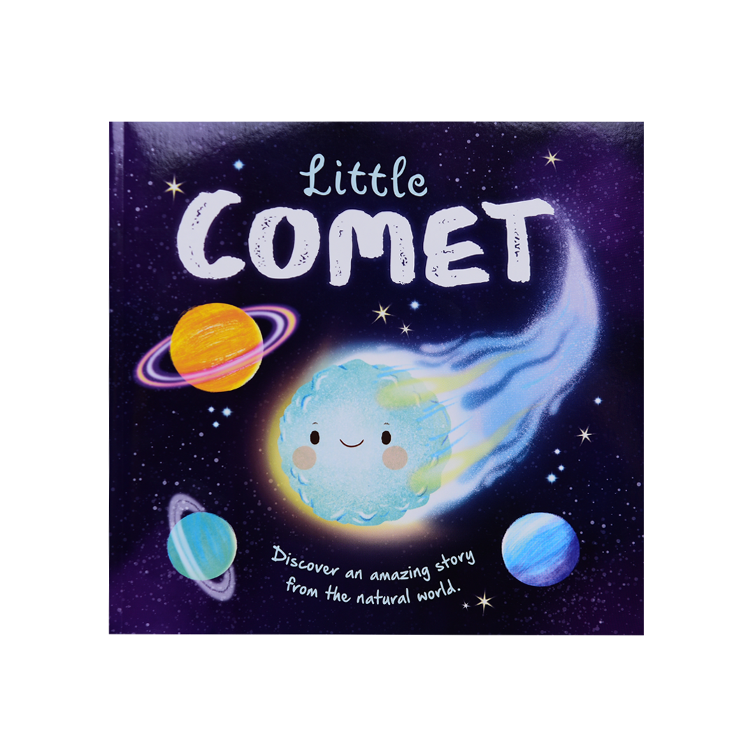 Picture Flats - Little Comet