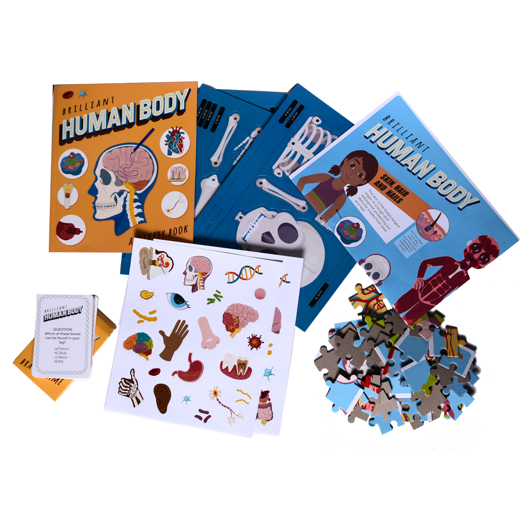 Big Ideas Learning Box - Brilliant Human Body