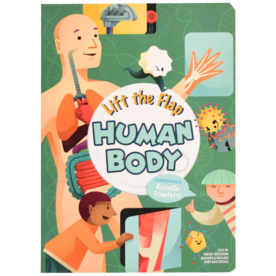 Lift The Flap - The Human Body